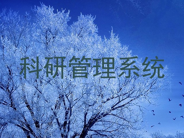 科研管理系统