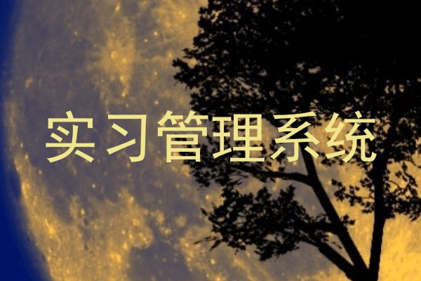 实习管理系统