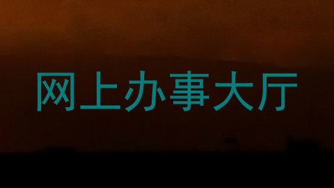 网上办事大厅