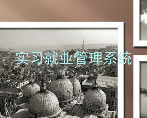 实习就业管理系统