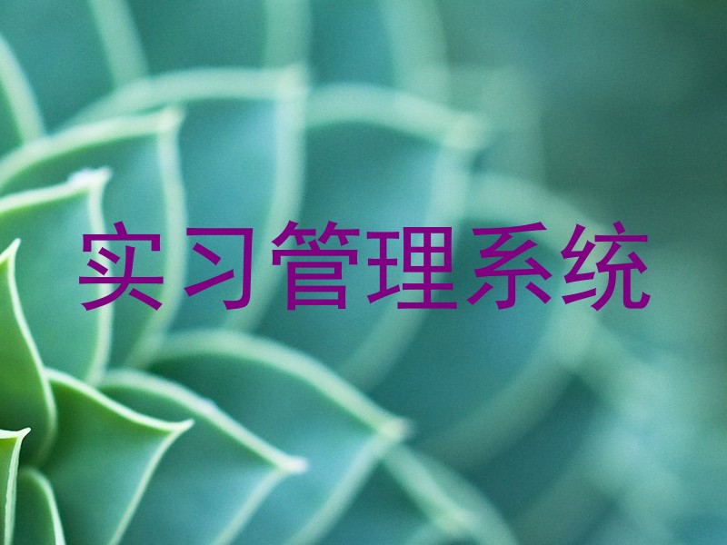 实习管理系统