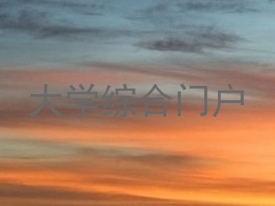 大学综合门户