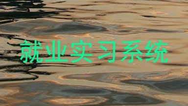 就业实习系统