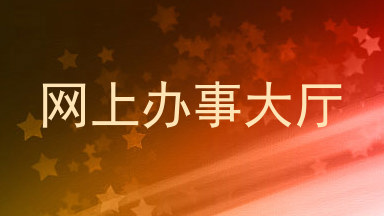 网上办事大厅