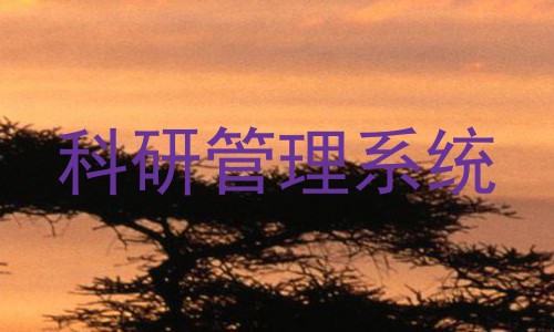 科研管理系统