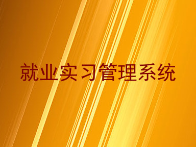 就业实习管理系统