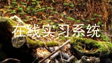 在线实习系统