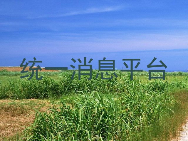 统一消息平台