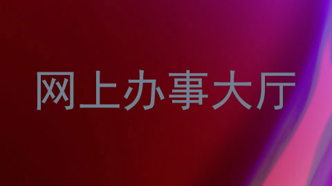 网上办事大厅