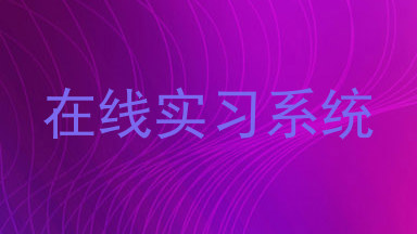 在线实习系统