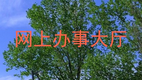 网上办事大厅