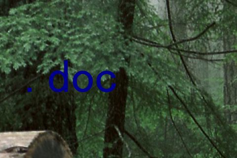 .doc