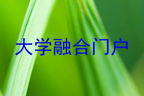 大学融合门户