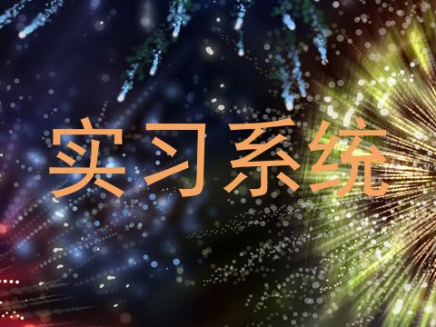 实习系统