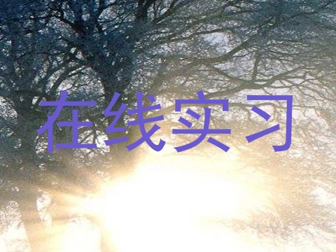 在线实习