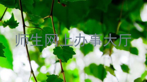 师生网上办事大厅