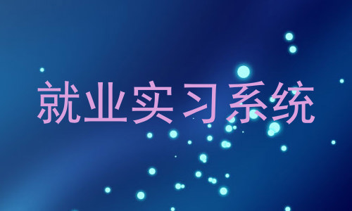 就业实习系统