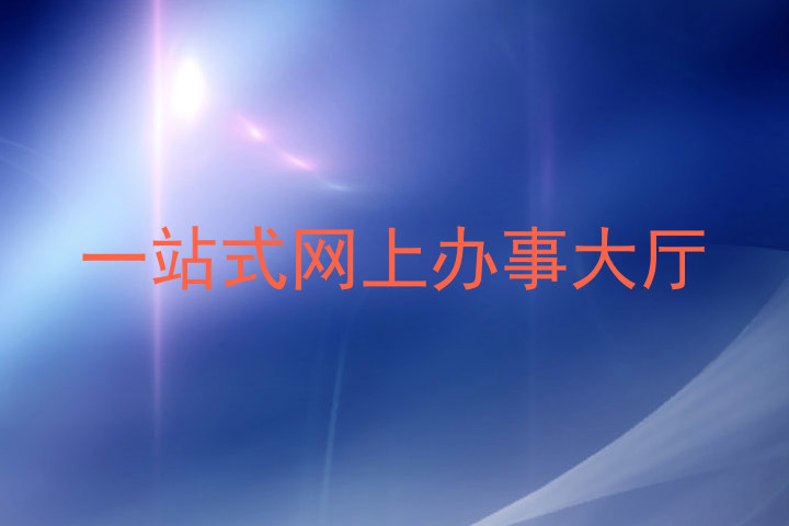 一站式网上办事大厅