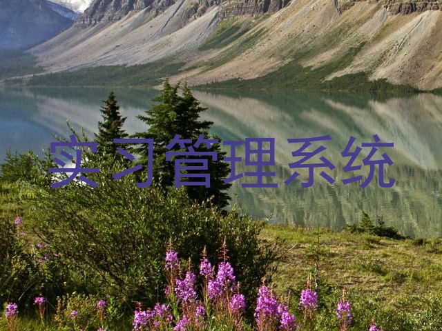 实习管理系统