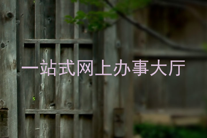 一站式网上办事大厅