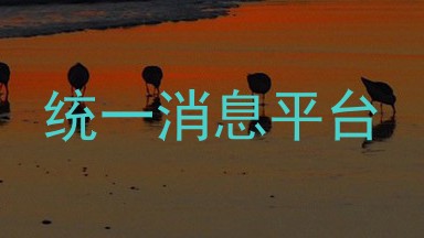 统一消息平台
