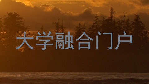 大学融合门户