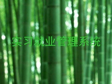 实习就业管理系统