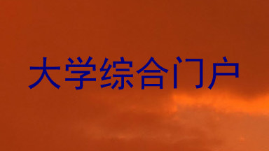 大学综合门户