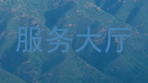 服务大厅