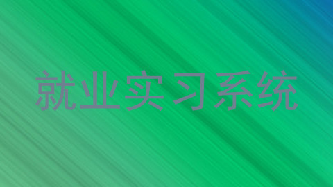 就业实习系统