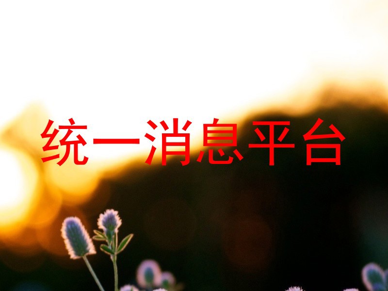 统一消息平台