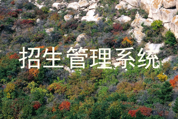 招生管理系统