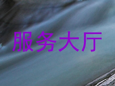 服务大厅