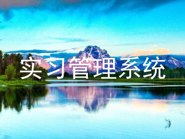 实习管理系统