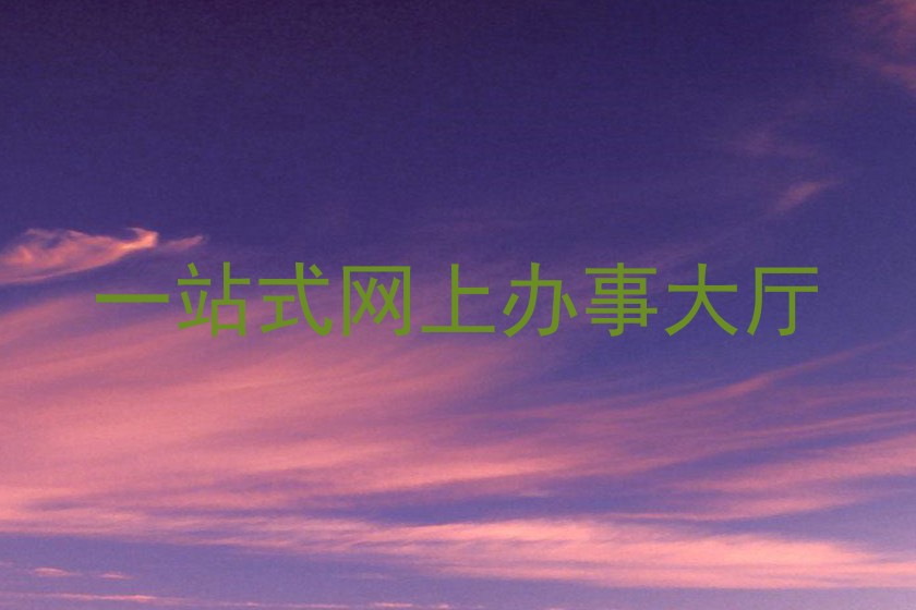 一站式网上办事大厅