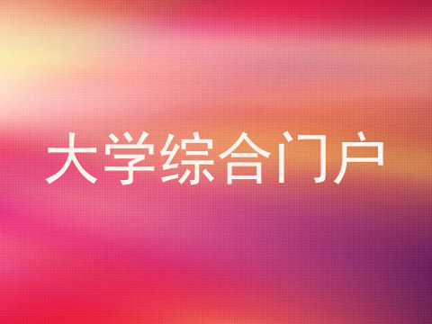 大学综合门户
