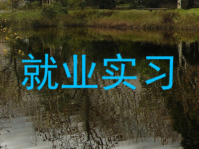 就业实习