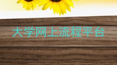大学网上流程平台