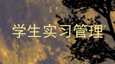 学生实习管理