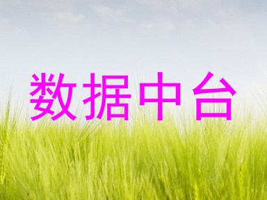 数据中台