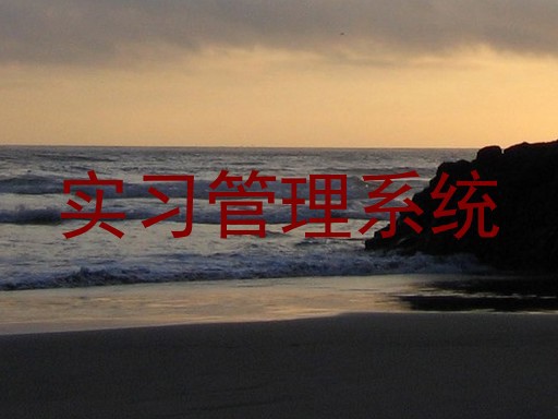 实习管理系统