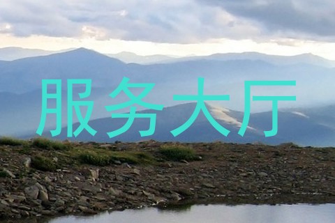 服务大厅