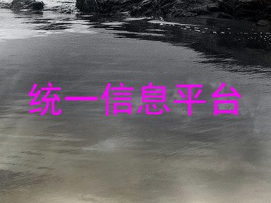 统一信息平台