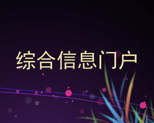 综合信息门户