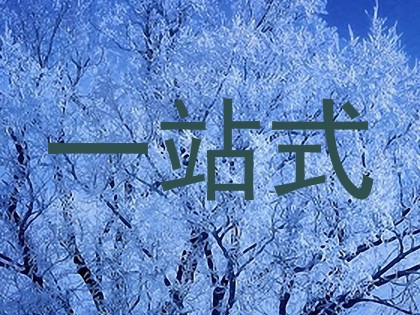 一站式