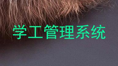 学工管理系统