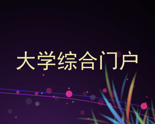 大学综合门户