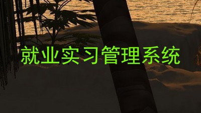 就业实习管理系统