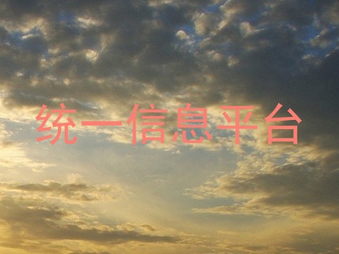 统一信息平台