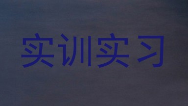 实训实习